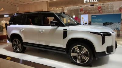 China All New Polestones Luxury Edition 2024 Hybrid SUV Medium And Large Middle 7seats 2024 polestones new 2024 Hybrid SUV for sale