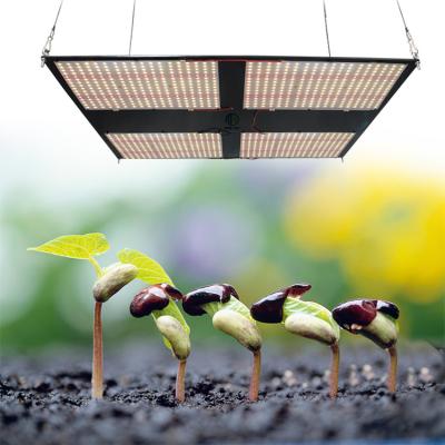 China FLOWER Newest 4X4 Led Grow Tent Kits 480W 4 in 1 Led Grow Light , 4000K Led Greenhouse Grow Lights 301H Led Grow Lights for sale