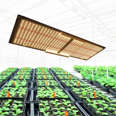 China Seed Starting Meijiu 2021 Hot Sale 240W QB288 Board Samsung LM301B LM301H 660nm IR Hot Far Red Greenhouse Grow Tent Indoor Plants Grow Led Light for sale