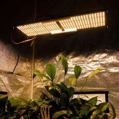 China Seed Planting 240w Meijiu QB288 Lm301h Lm301b 3000k 3500k PCB Board Factory Price Horticulture Lamp Dimmable Hydroponic Plant Led Grow Light for sale