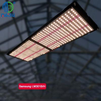 China Seed Starting Meijiu 240W Samsung Led QB288 3000K Red, Meijiu288 Factory Adjustable Light lm301 b 240W 3500 V4 Samsung 2020 for sale