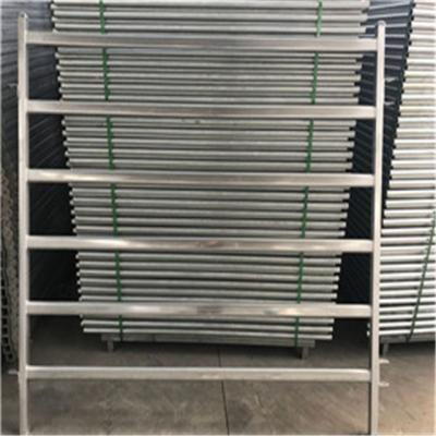 China Heavy Duty Oval Stainless Tube , Stainless Steel Oval Pipe 2MM Thickness 115mm Rails for sale