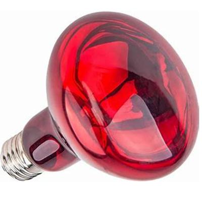 China Animal husbandry 100W 150W 175W  Never Fade Red Infrared Bulb R95 for sale