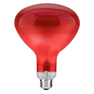 China Animal husbandry Livestock/poultry/pig farm high quality competed price infrared heating bulb for sale