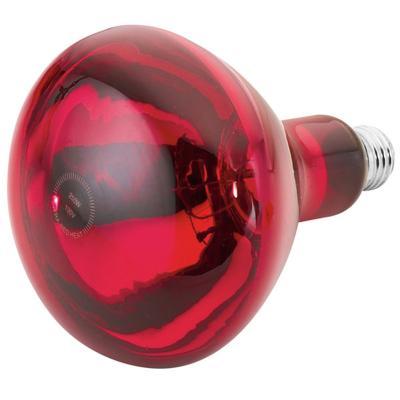 China Animal husbandry 100W 150W  200W 250W infrared heating bulb infrared light bulb for sale