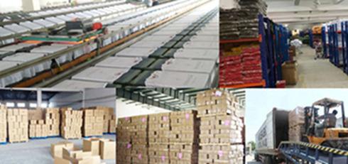 Verified China supplier - Xiamen Cenxing Import And Export Co., Ltd.