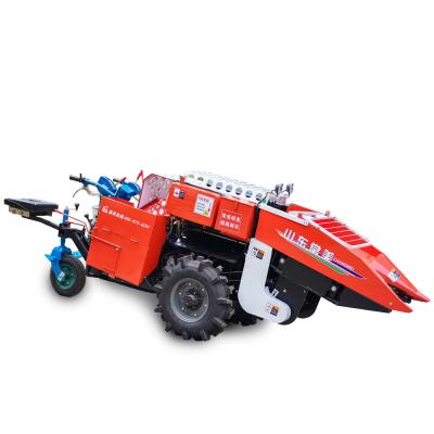 China Maize Maize Harvester Maize Harvester Hot Selling Combine Harvester For Sale for sale