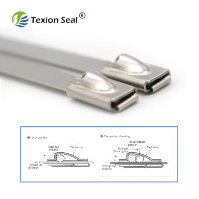 China 316 stainless steel TXST 005 Anti-tamper water proof stainless steel cable tie ss316 for sale