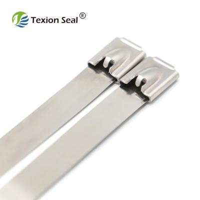 China 316 Stainless Steel TXST 004 High Security Stainless Steel Cable Tie 250mm for sale