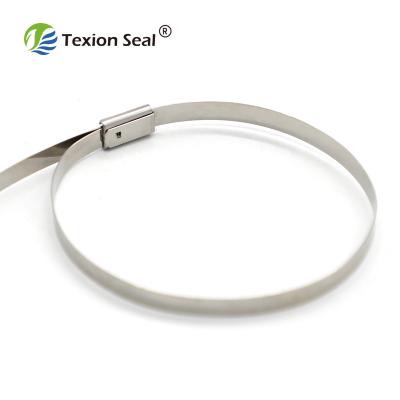 China 316 stainless steel cable tie TXST 003 China manufacture stainless steel ladder cable tie for sale