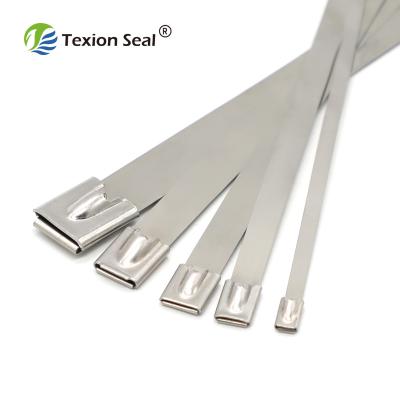 China 201 Tamper Proof Universal Type Stainless Steel Cable Tie TXST 001 Cable Tie for sale