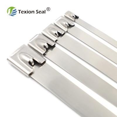 China Anti Corrosion TXST005 Stainless Steel Cable Tie 250mm Scale Ladder Rust Strength Non-flammability Fag High Strength for sale