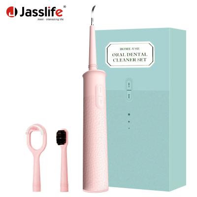 China Foldable Electric Toothbrush IPX6 Set Waterproof Powerful Cleaning Smart Electric Toothbrush Sonic Rechargeable for sale