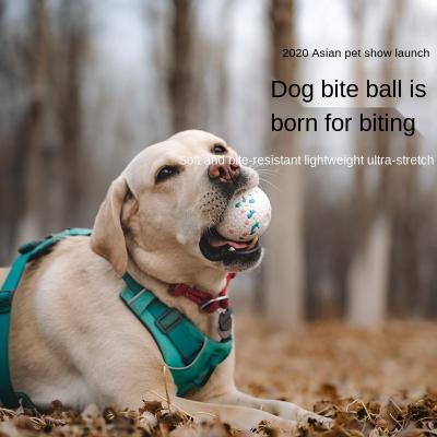 China 2021 Amazon Etpu Pet Toy Ball Resistant To Bite Viable Explosive Teeth And Bite Dog Toy Ball Fashion White Color Creative Series for sale