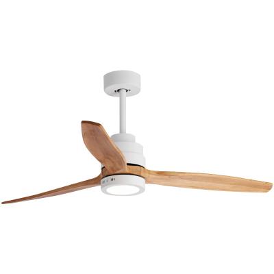 China With Control Light Modern Simple Design Wind Lamp ACDC Fan 240v Luxury Ceiling Fan With Led Lamp for sale