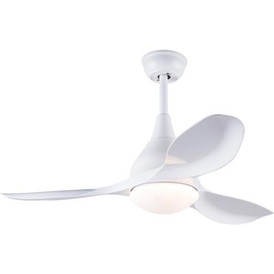 China Excellent Quality Light Neck Hanging Fans Led Room Lamp Remote Ceiling Fan With Light for sale