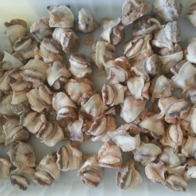 China Best market JELLY seafood/frozen conch for sale