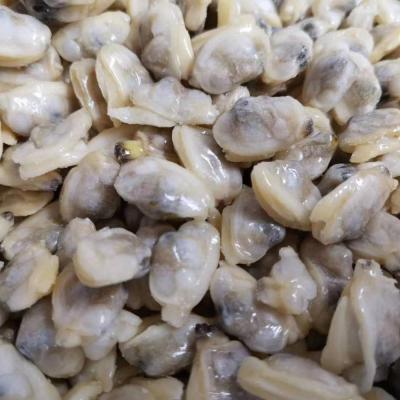 China FROZEN FROZEN BOILED FRESH BABY CLAMS MEAT for sale