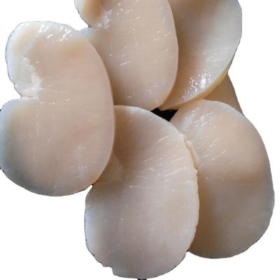 China Scallop FROZEN Berry IQF Fresh and New Product For Sale for sale