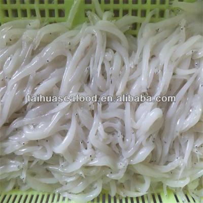 China NATURE fresh silver fish and best quality stockfish cod for sale