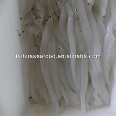 China High Quality Dried & Frozen NATURE Fish (Silverfish) Exporters for sale