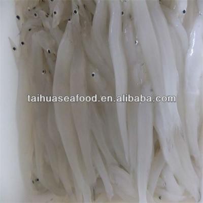 China NATURE seafood and turbot fish (silver fish) for sale