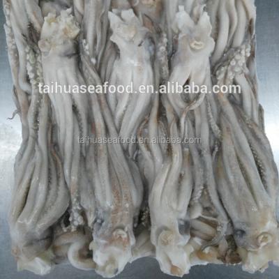 China Low Fat Frozen Tweed Bait Squid Heads for sale