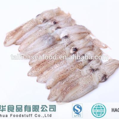 China High quality low fat BQF loligo frozen squid with suitable price for sale