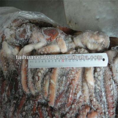 China frozen octopus 2000g vulgaris from the best sea for sale