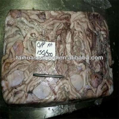 China korea baby octopus and seafood cleaning importer 16-20 for sale