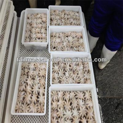 China beak gutted off raw baby octopus 15-20 for sale