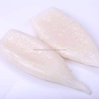 China Low Fat Frozen Tube Price Giant Squid Squid for sale