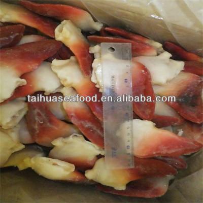 China FROZEN frozen cooked arctic surf clams for sale