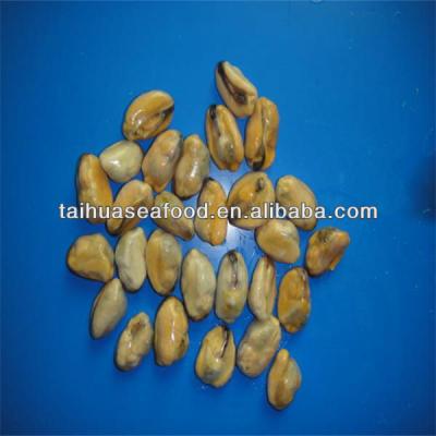 China FROZEN freshwater mussel meat (200-300) for sale