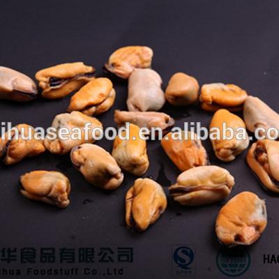 China FROZEN Blue Mussel Frozen Meat in Shellfish Scientific Name for sale