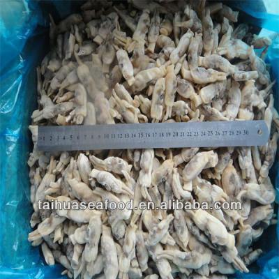 China FROZEN frozen cooked short razor clam for sale