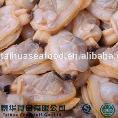 China Importer FROZEN Clam Meat Shellfish Seafood Frozen Seafood for sale