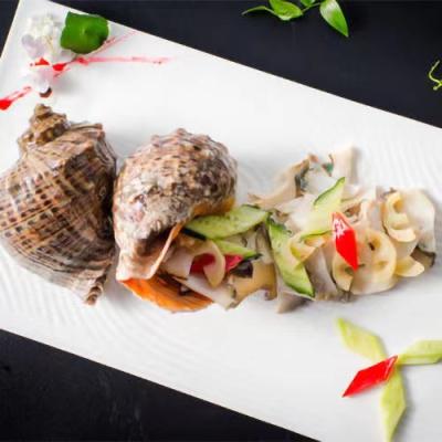 China FROZEN seafood and conch frozen meat for sale for sale