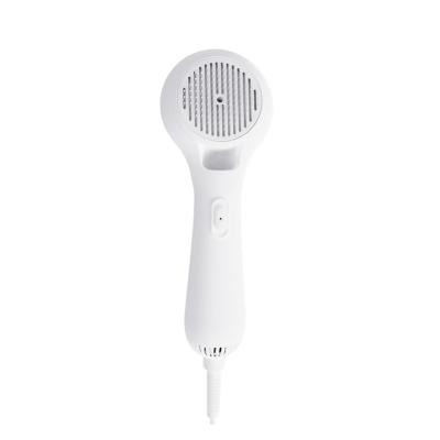 China Durable Pet Grooming Brush and Hair Dryer 2 in 1 One Click Deshedding Tool Cleaning Pet Grooming Brush Hair Comb for sale