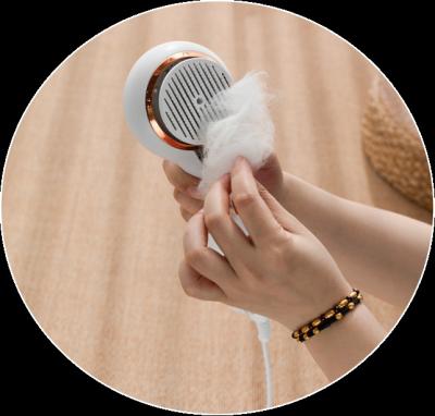 China Easy Viable Pet Brush Pet Hair Dryer 2 One Click Hair Removal Pet Grooming Tool Pet Brush Pet Hair Dryer 2-Click Pet Grooming Tool for sale