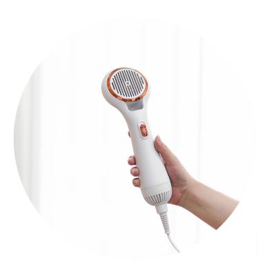 China Sustainable Pet Grooming Brush For Dogs And Cats Pet Hair Dryer 2 In 1 One-Click Remove Tangle Deshedding Undercoat for sale