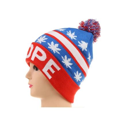 China COMMON Wholesale Custom Embroidery logo Cotton Blends Solid Warm Soft HOP Knitted Hats Men Winter Caps Women's Skullies Beanies for sale