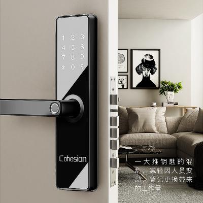 China Office/Home/Hotel/Hospital/School/Apartment Keyless Smart Lock Fingerprint Door Control Biometric Smart Entry Phone Lock Ttlock for sale