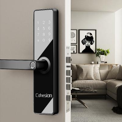 China Office/Home/Hotel/Hospital/School/Apartment Smart Door Lock Digital Door System Lock Card Swipe Door Reader Cards for sale