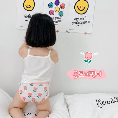 China Antibacterial Hot Sale Girl Fashion Kids Panties Underwear Kids Girls Briefs for sale