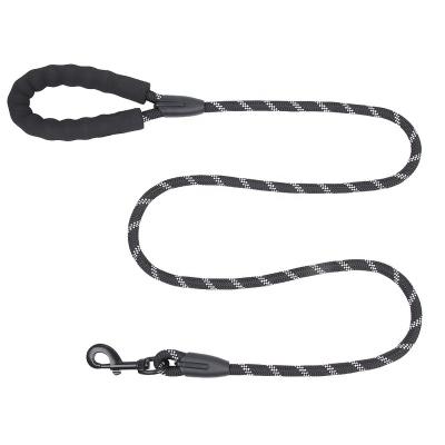 China Amazon Sustainable Basics Nylon Soft Padded Wire Dog Dog Leash Highly Reflective for sale