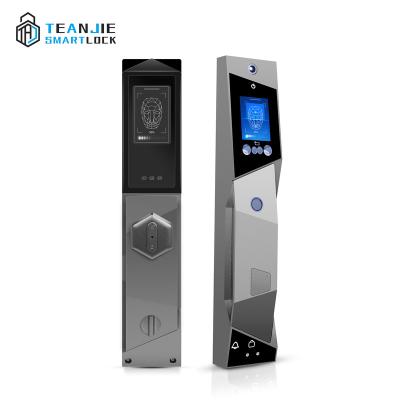 China Keyless Biometric Card APP Password Aluminum Alloy Face Recognition Door Lock Security Lock for sale