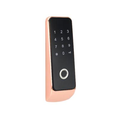 China RFID Electronic Fingerprint Cabinet Locker Drawer Zinc Alloy Magnetic Door Locks With 99 Fingerprints User Capacity for sale