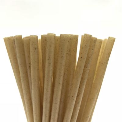 China Fiber 6/7/8/10/12mm Eco-Friendly Disposable Straw Biodegradable Natural Bagasse Sugarcane Straw for sale