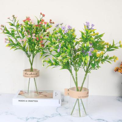 China Valentines Day Gifts Flower Autumn Home Decoration Wall Hanging Natural Star Flower Star Flowers for sale